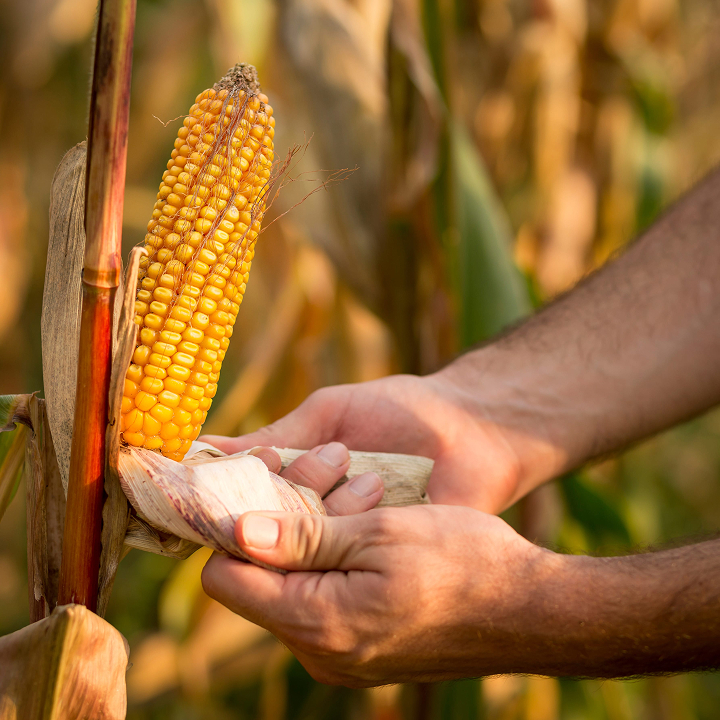 How we empower agriculture